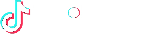 TikTok Marketing Partners